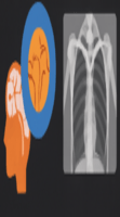 medical icon